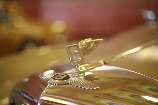 Casino Bet Winner Android/iOS Forrit